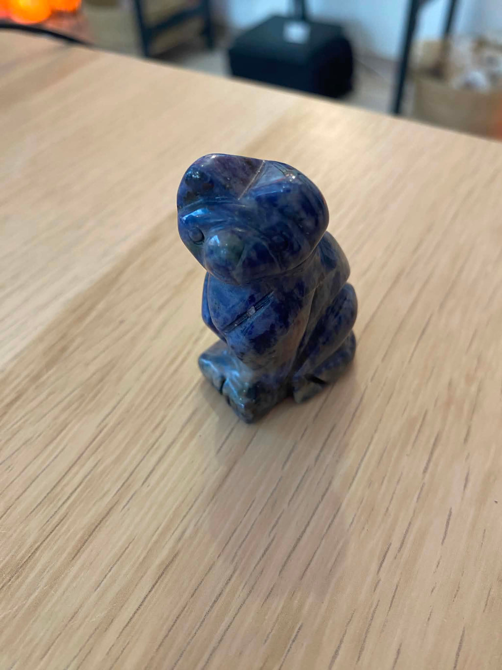 Chat en sodalite
