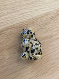 Petit chat en jaspe dalmatien