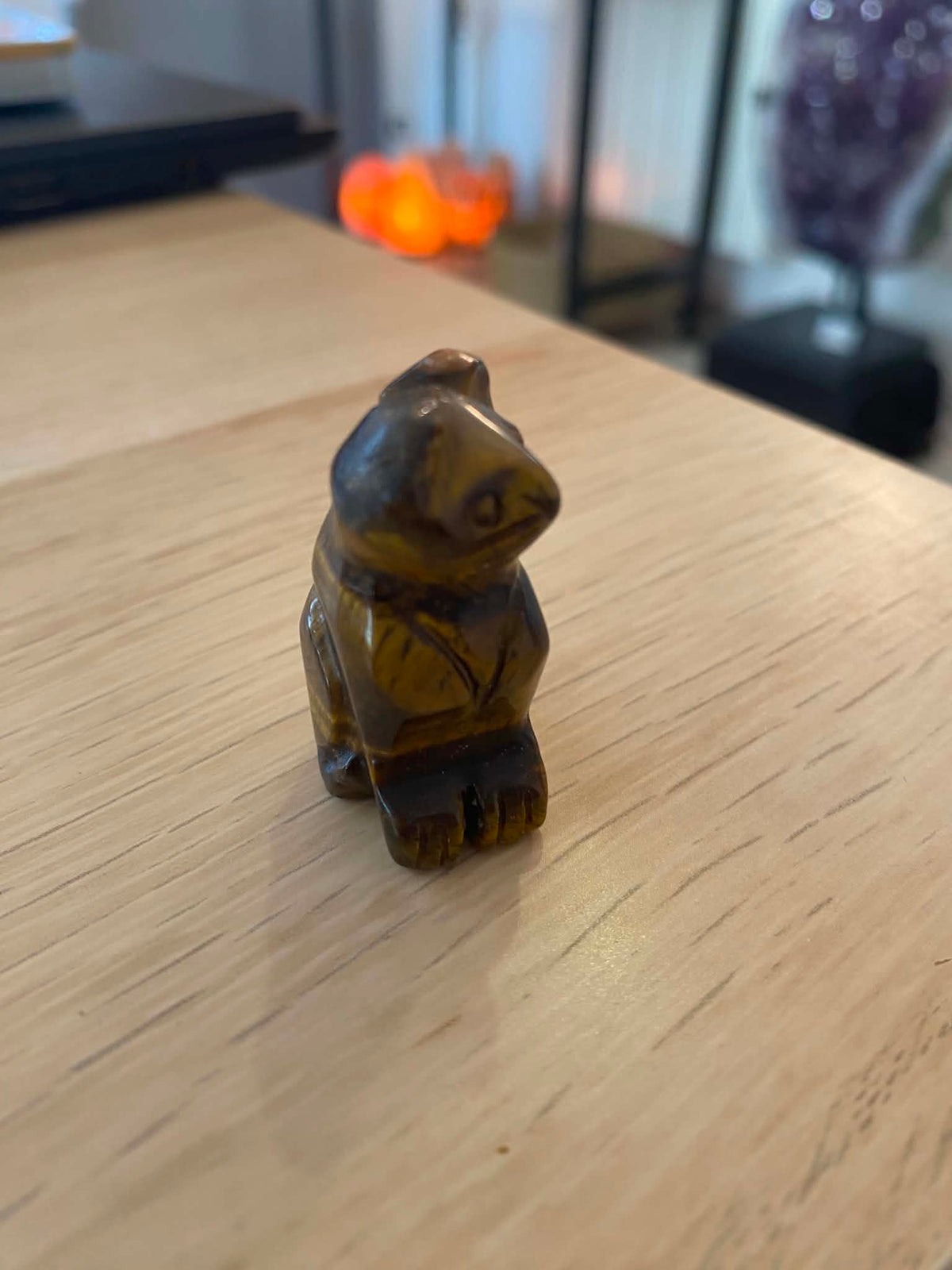 Petit chat en œil de tigre