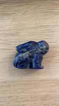 Petit lapin en sodalite - 30 g