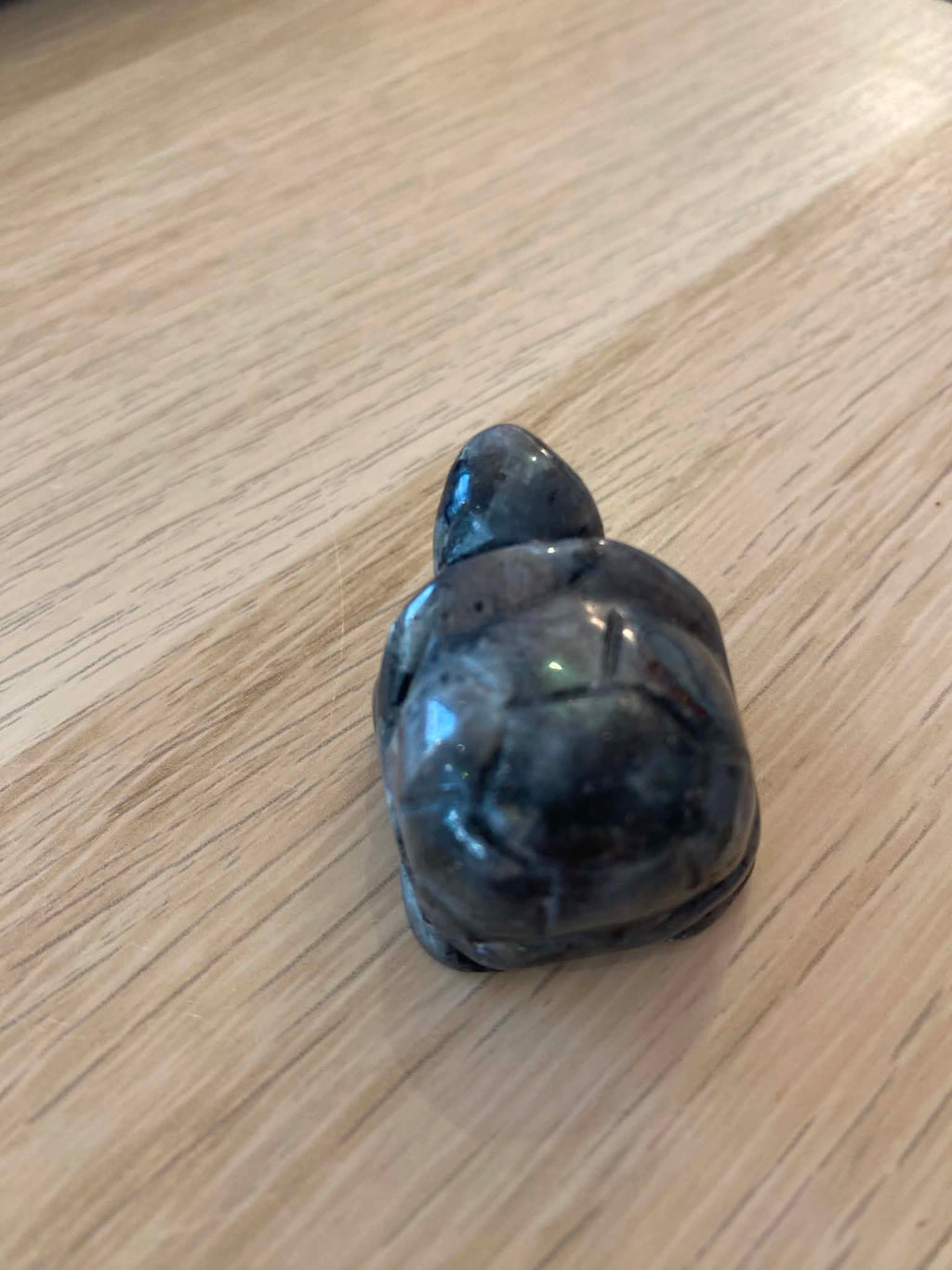 Petite tortue en quartz tourmaliné