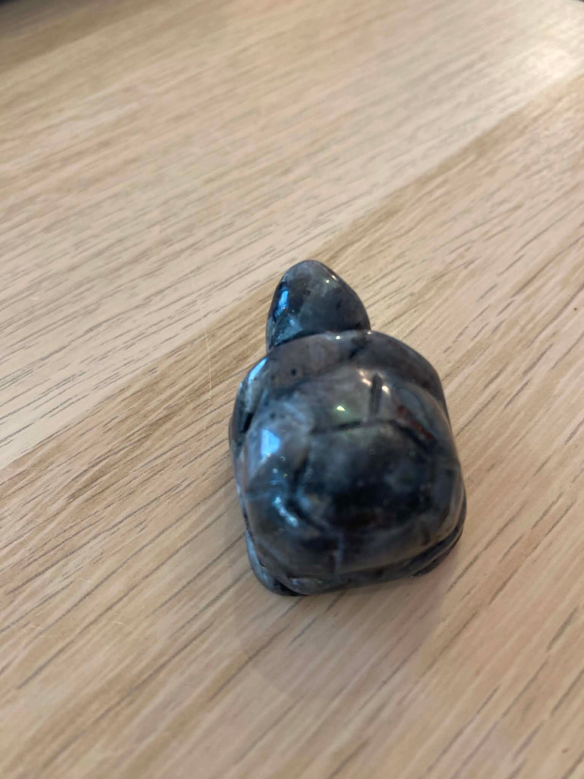 Petite tortue en quartz tourmaliné