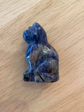 Chat en sodalite