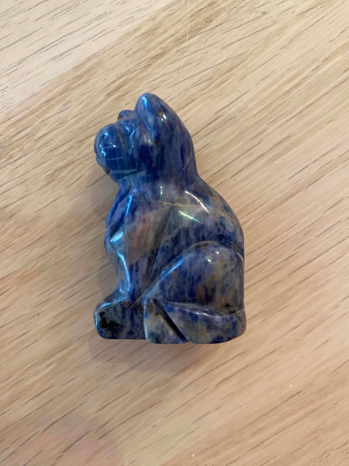 Chat en sodalite