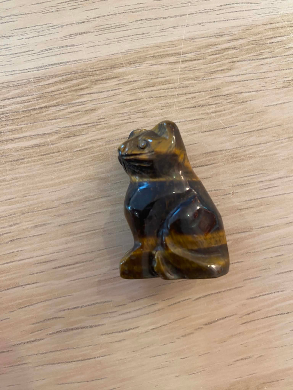 Petit chat en œil de tigre