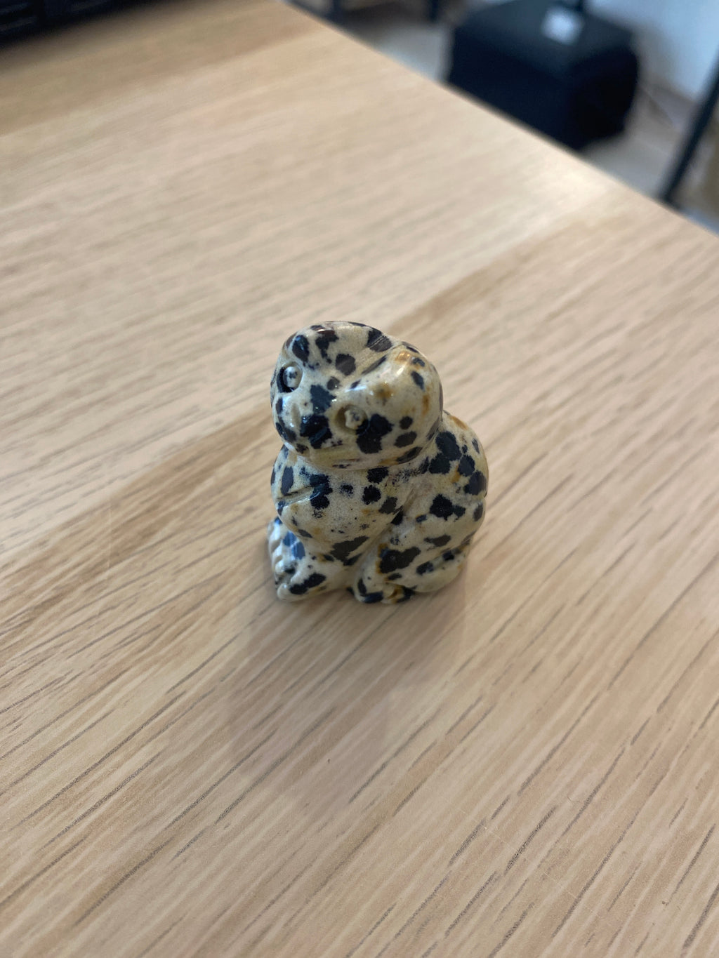 Petit chat en jaspe dalmatien