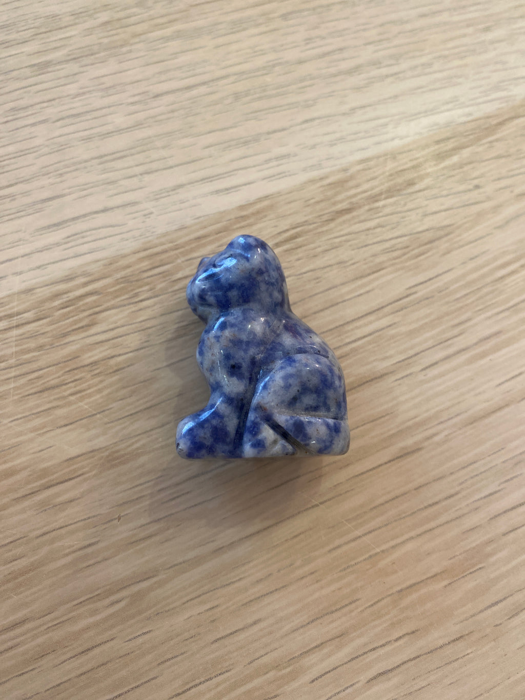 Petit chat en sodalite