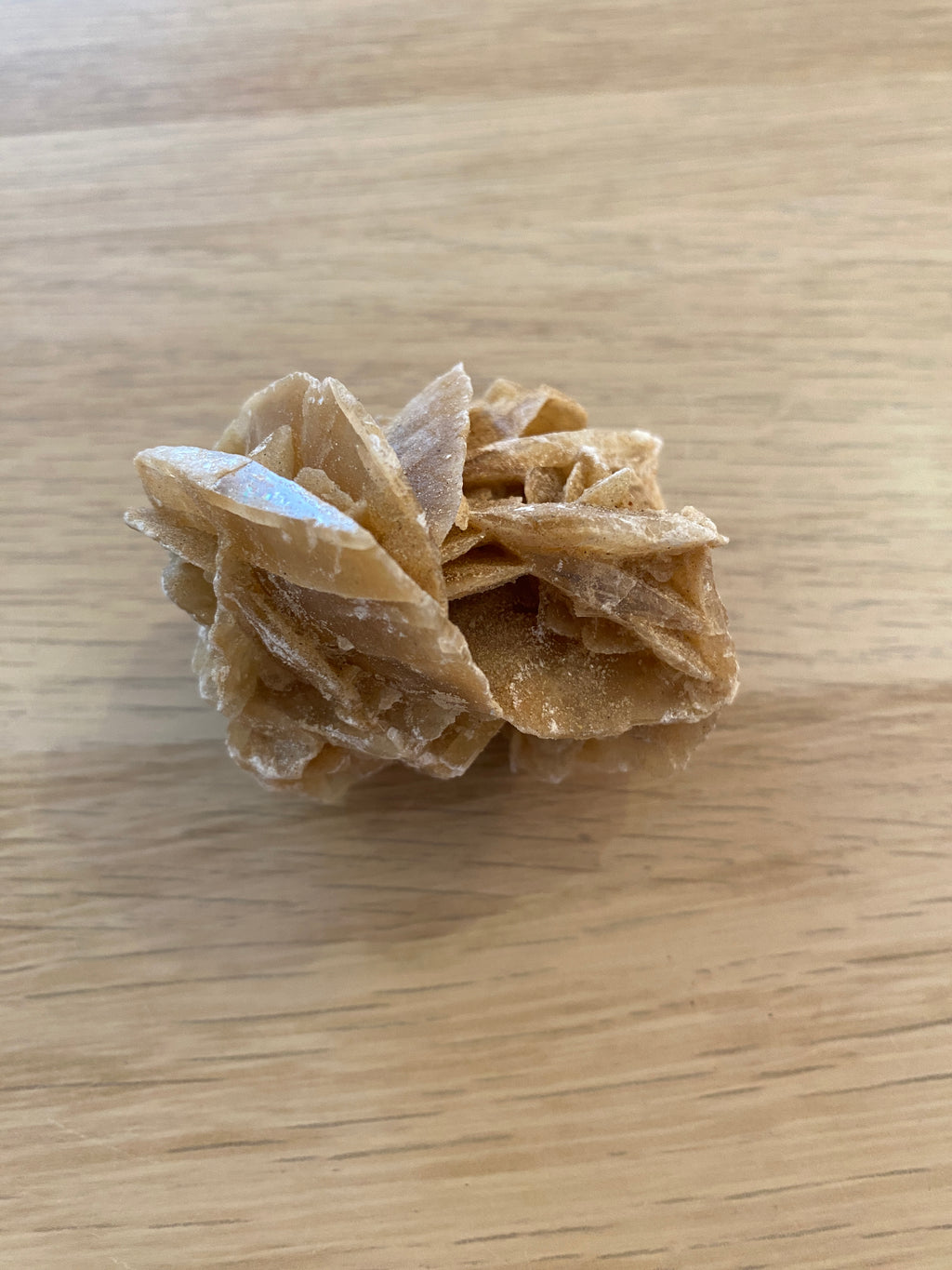 Rose des sables