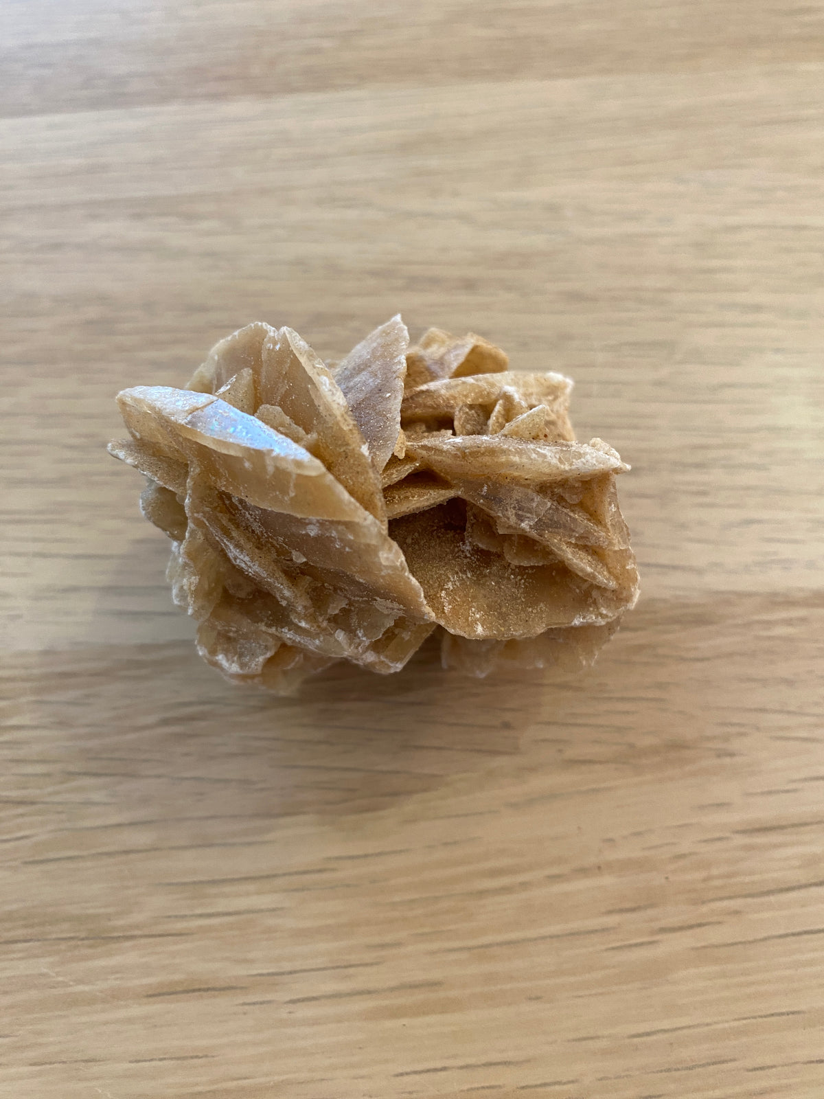 Rose des sables