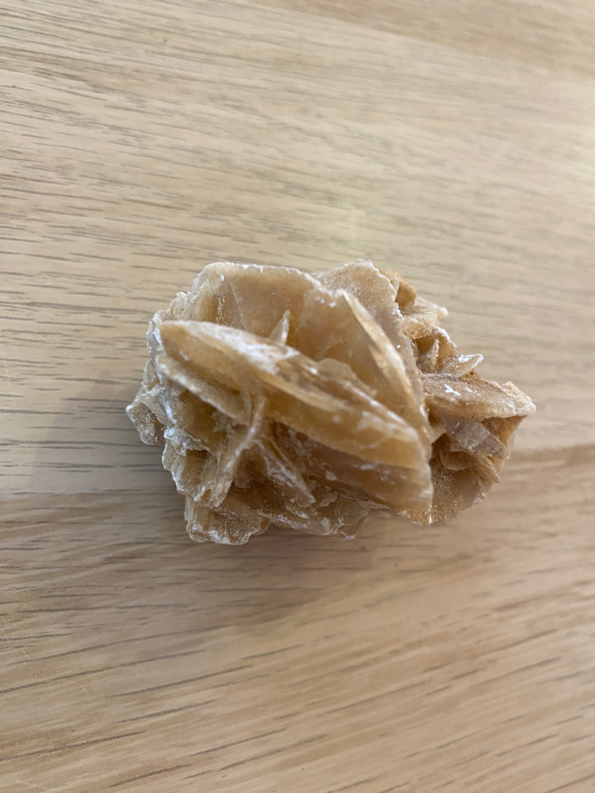Rose des sables