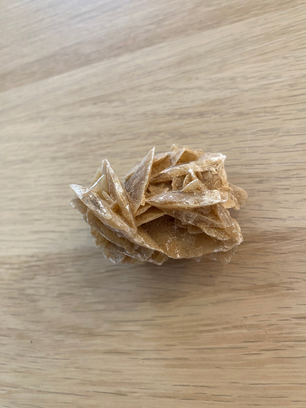 Rose des sables