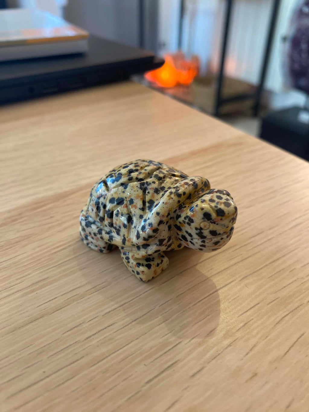 Tortue en jaspe dalmatien