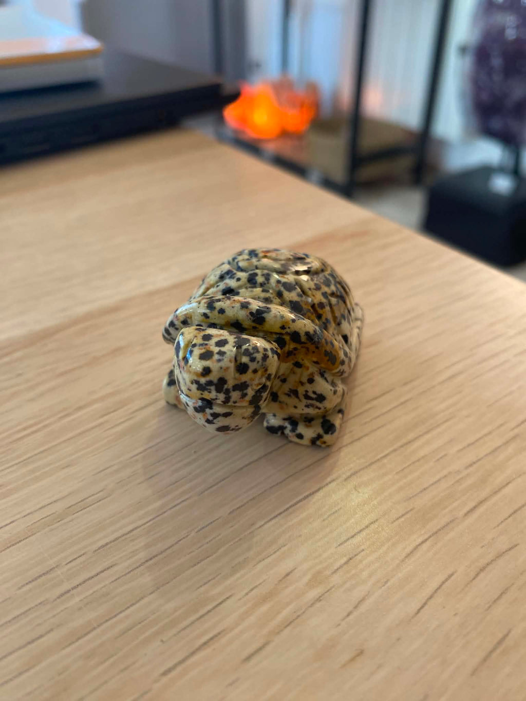 Tortue en jaspe dalmatien