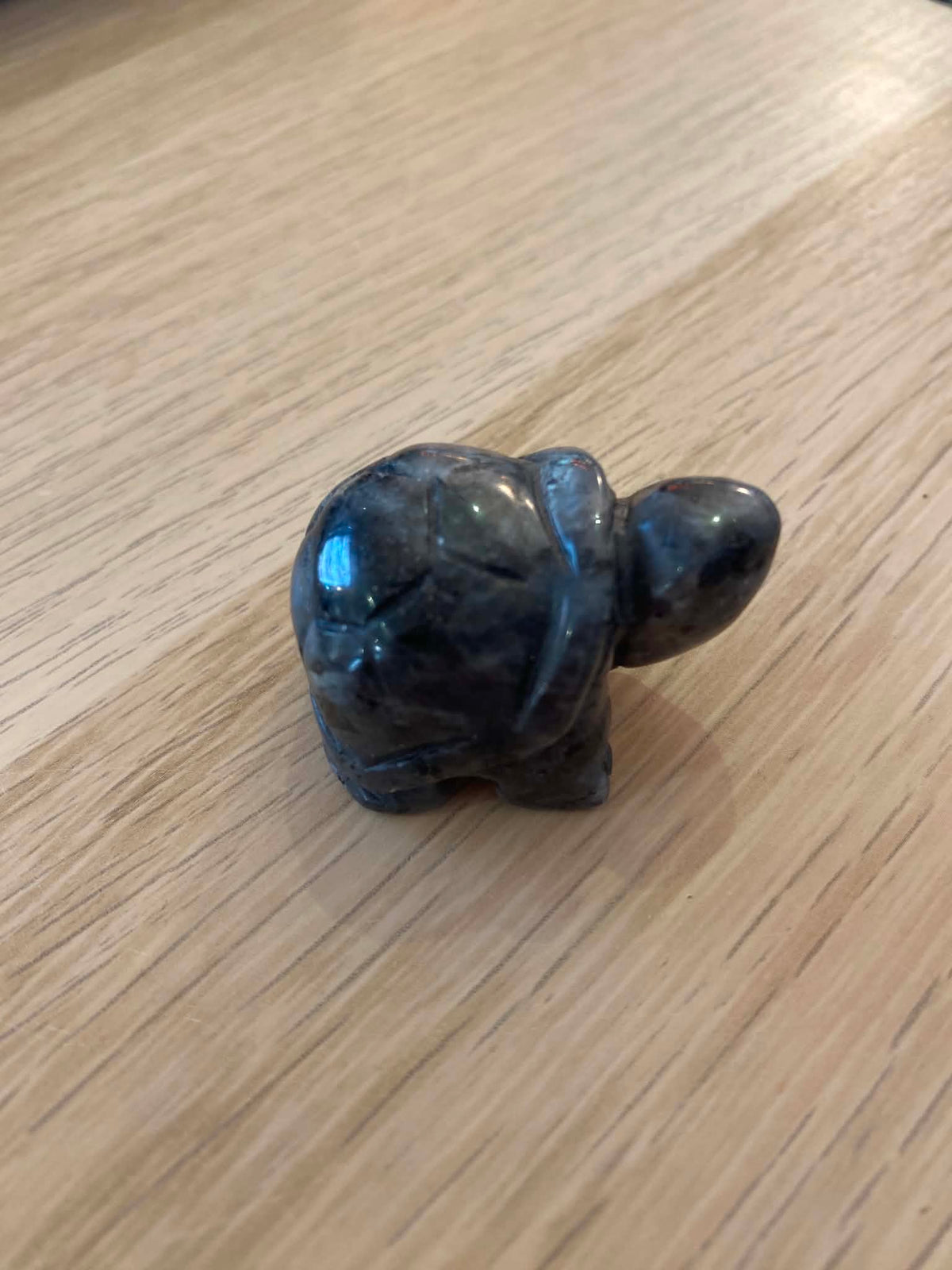 Petite tortue en quartz tourmaliné