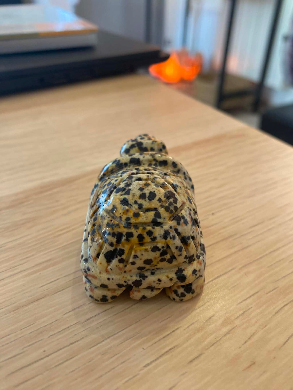 Tortue en jaspe dalmatien