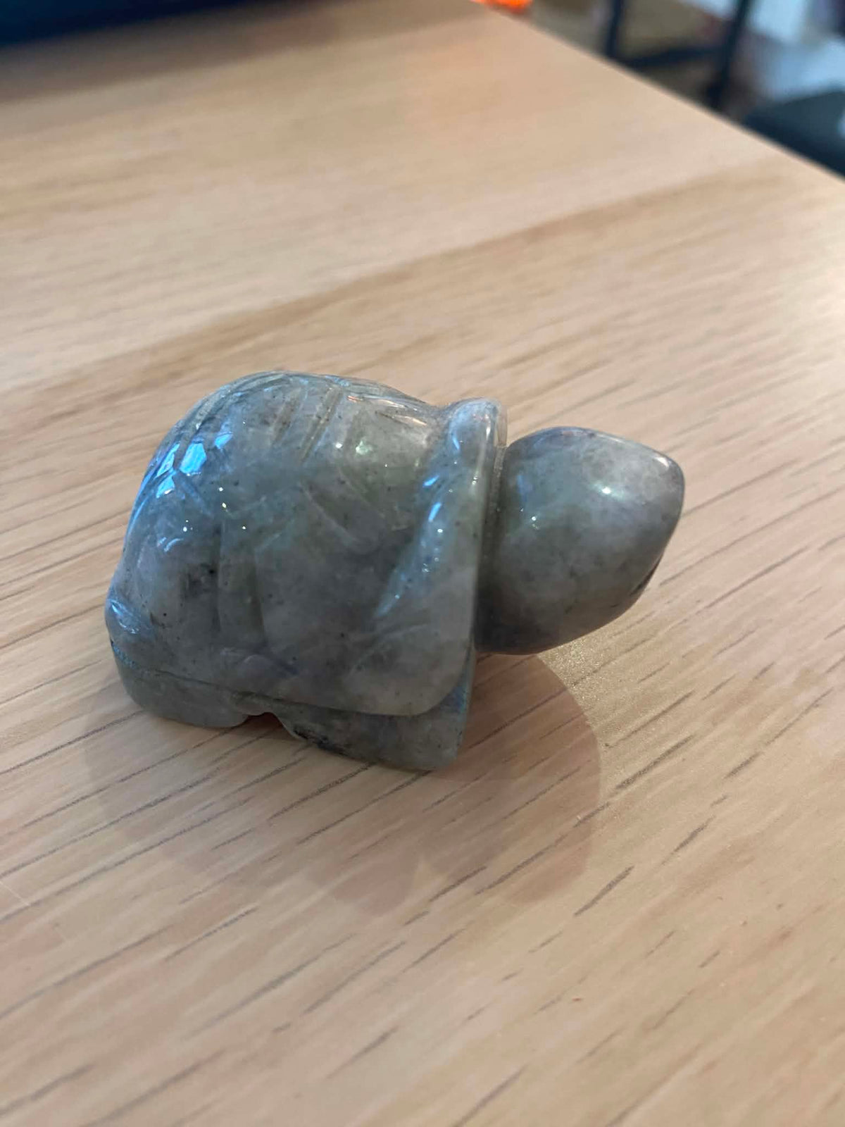 Tortue
