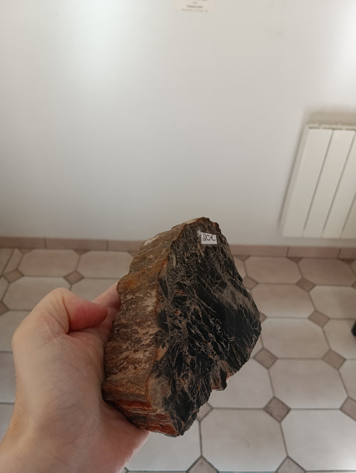 Bois fossile d'Araucaria - Madagascar - 846g