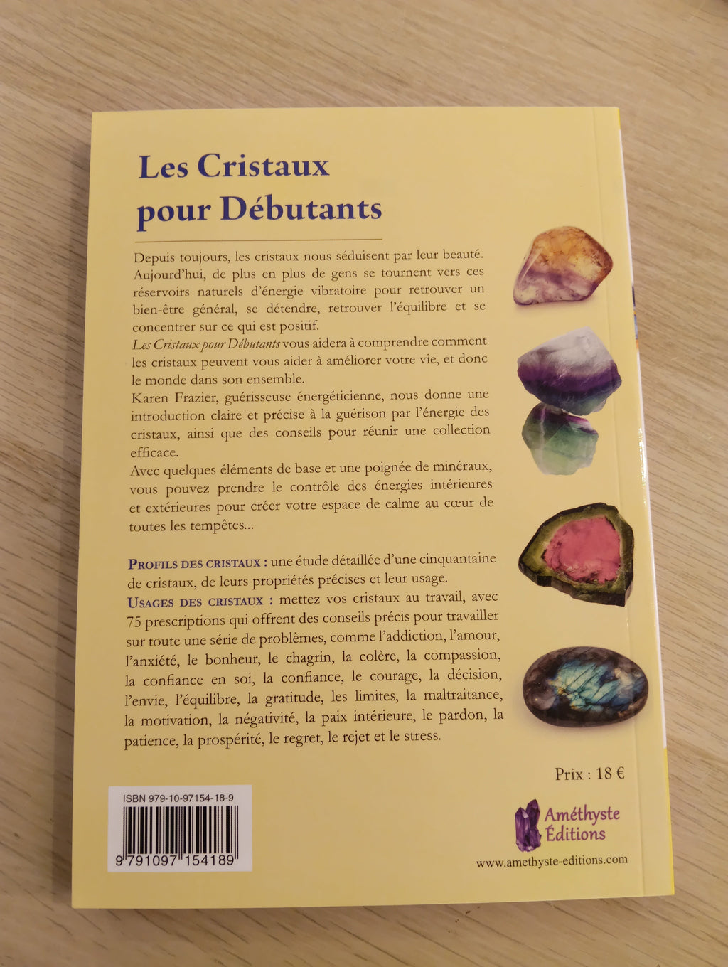 Les Cristaux pour Débutants – Karen Frazier