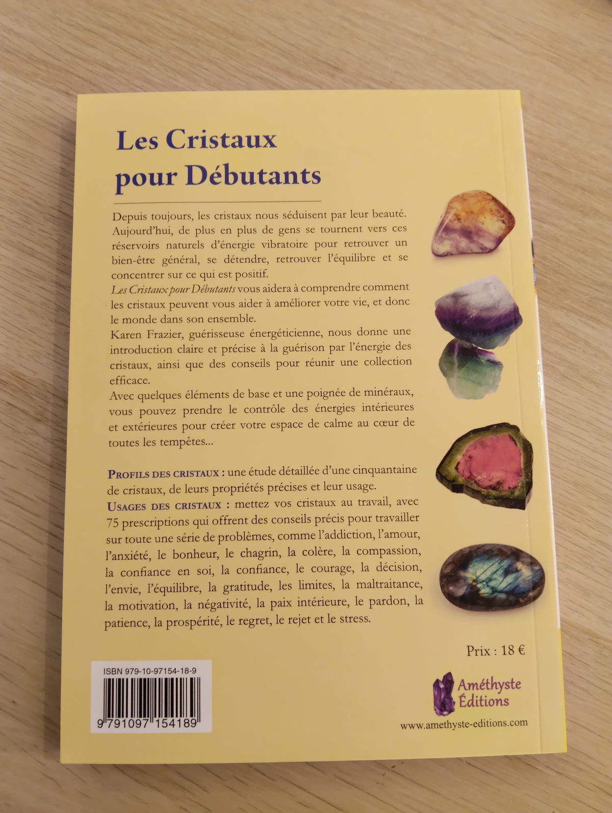 Les Cristaux pour Débutants – Karen Frazier
