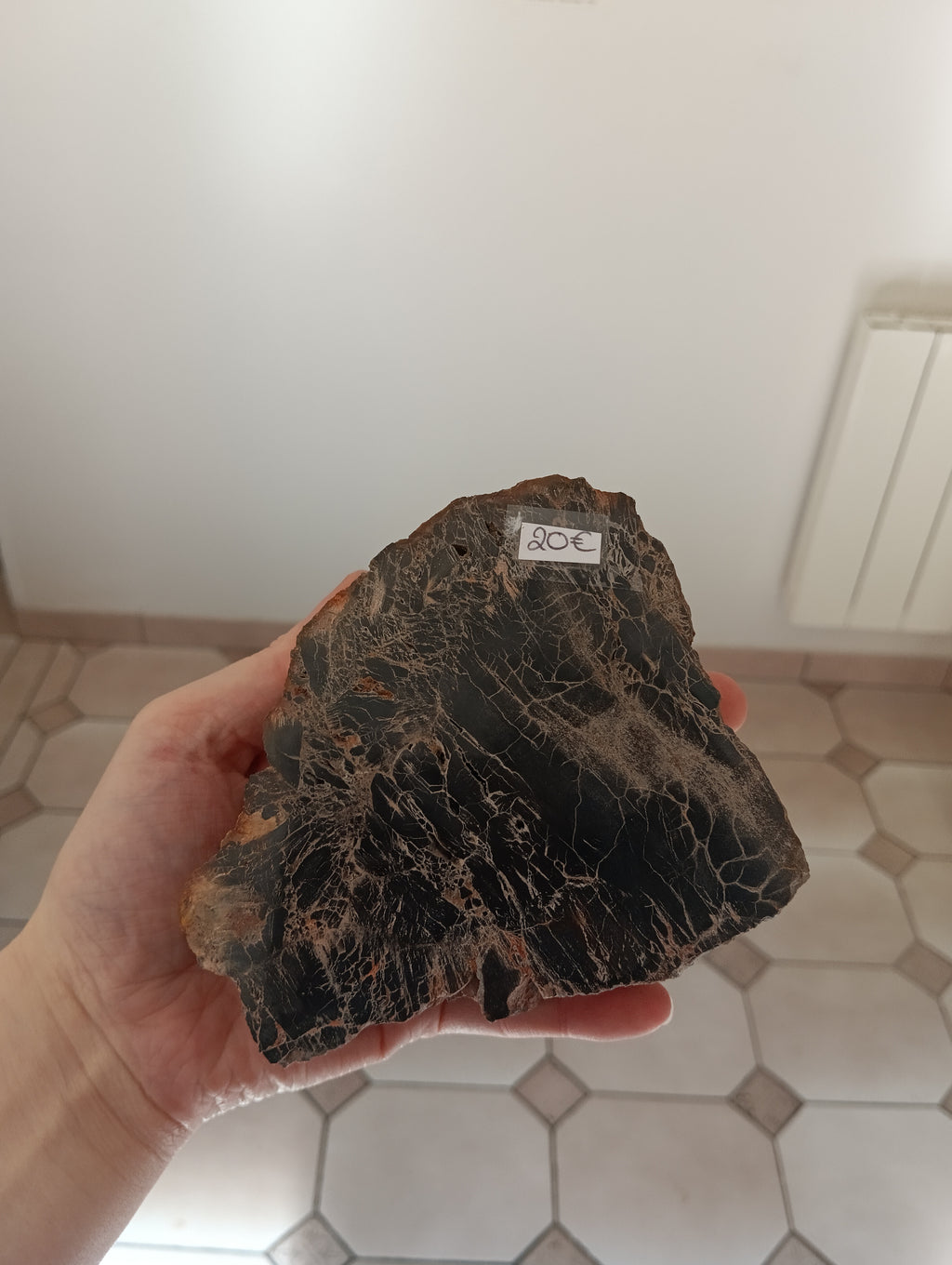 Bois fossile d'Araucaria - Madagascar - 846g