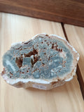 Bois fossile d’Araucaria – Madagascar - 120g