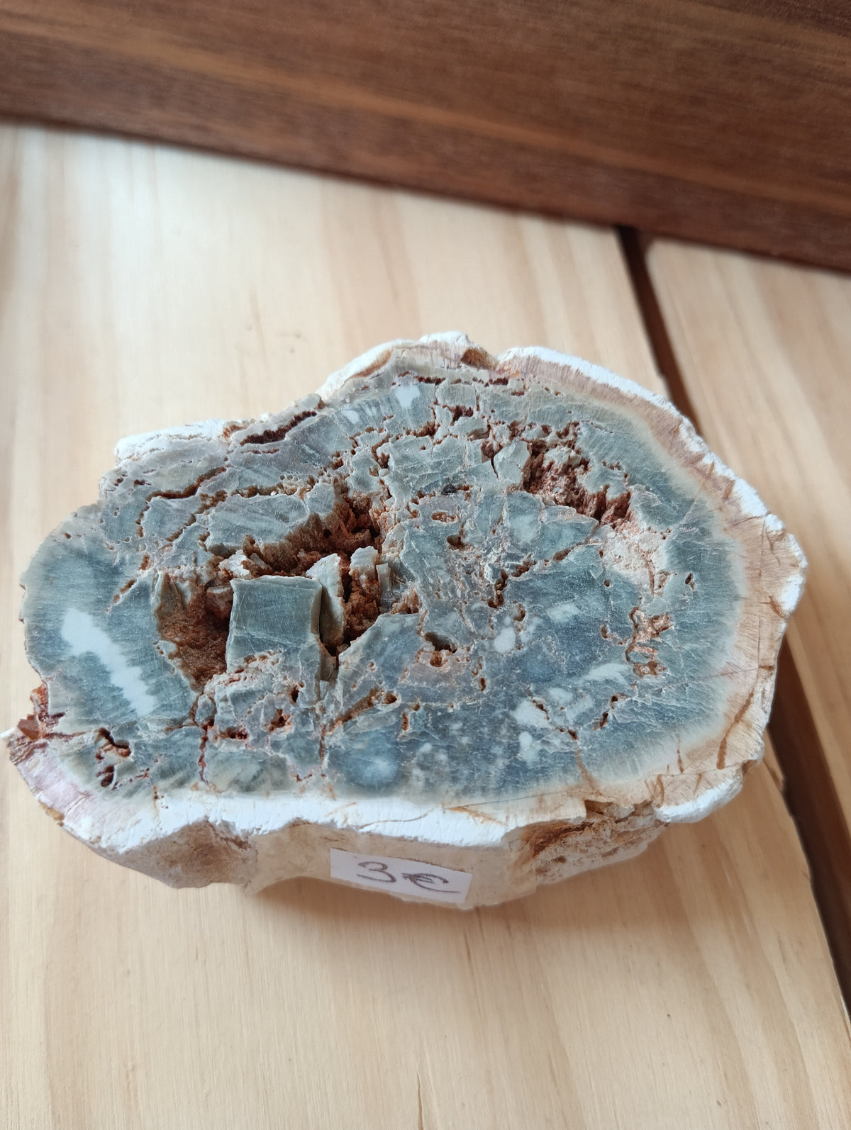 Bois fossile d’Araucaria – Madagascar - 120g