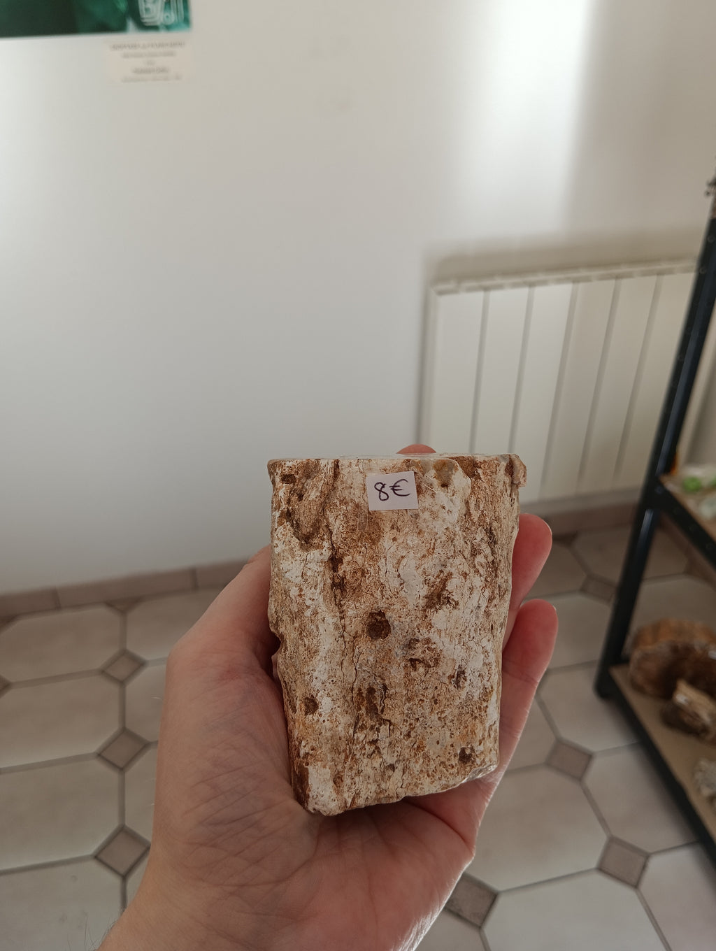 Bois fossile d'Araucaria - Madagascar - 339g