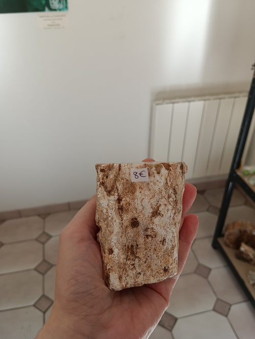 Bois fossile d'Araucaria - Madagascar - 339g