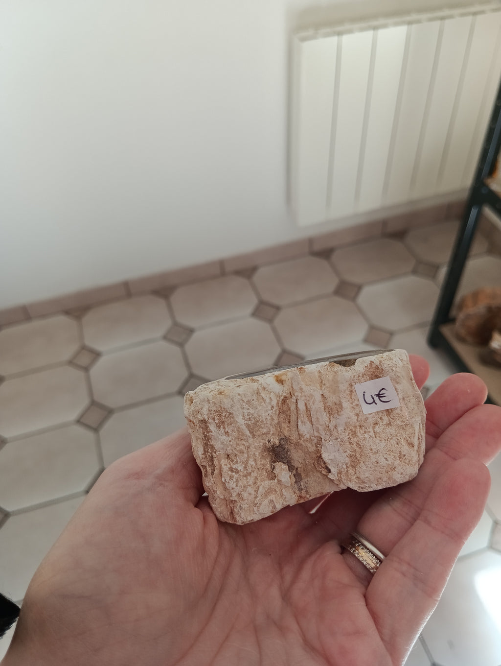 Bois fossile d’Araucaria – Madagascar - 161g