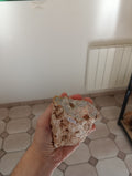 Bois fossile d'Araucaria - Madagascar - 339g